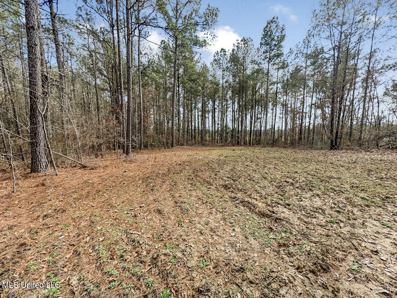 3771 Northeast Timberline Road Wesson, MS 39191 - Photo 32 of 49 IMG_4209 Large