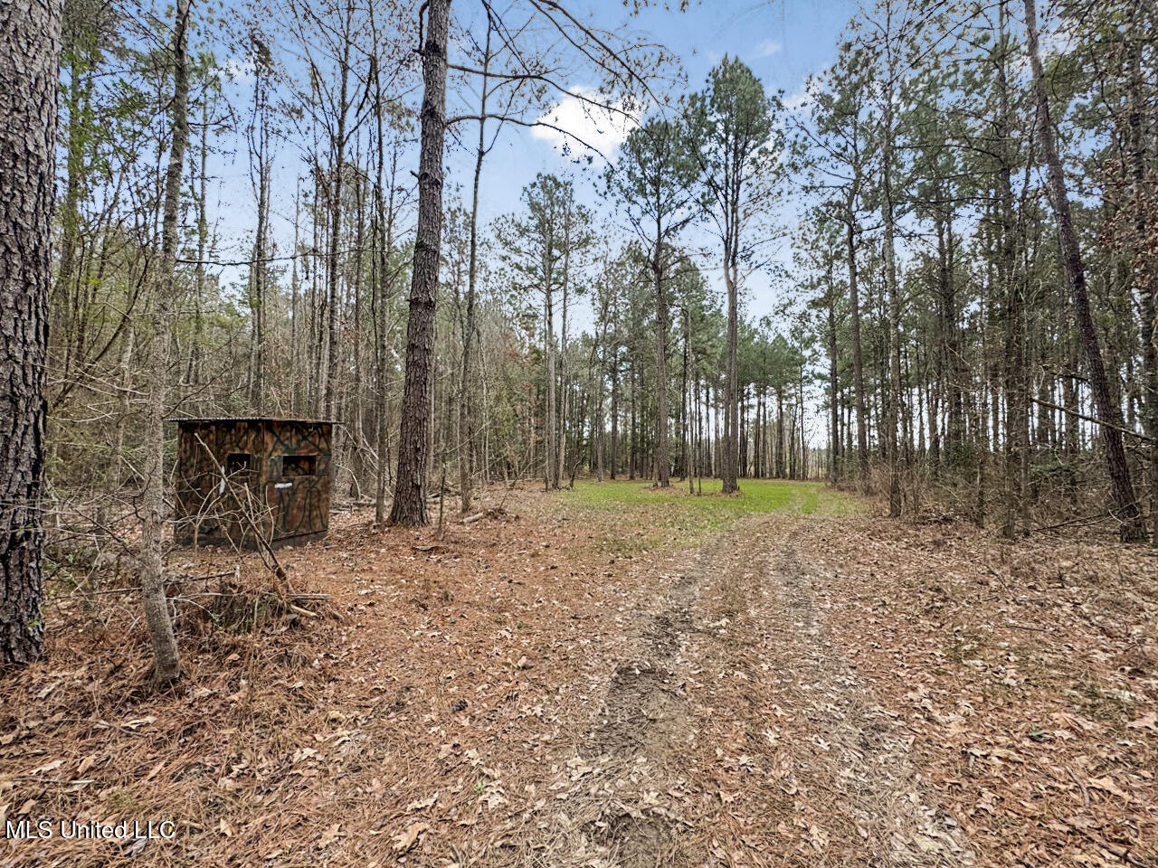 3771 Northeast Timberline Road Wesson, MS 39191 - Photo 33 of 49 IMG_4210 Large