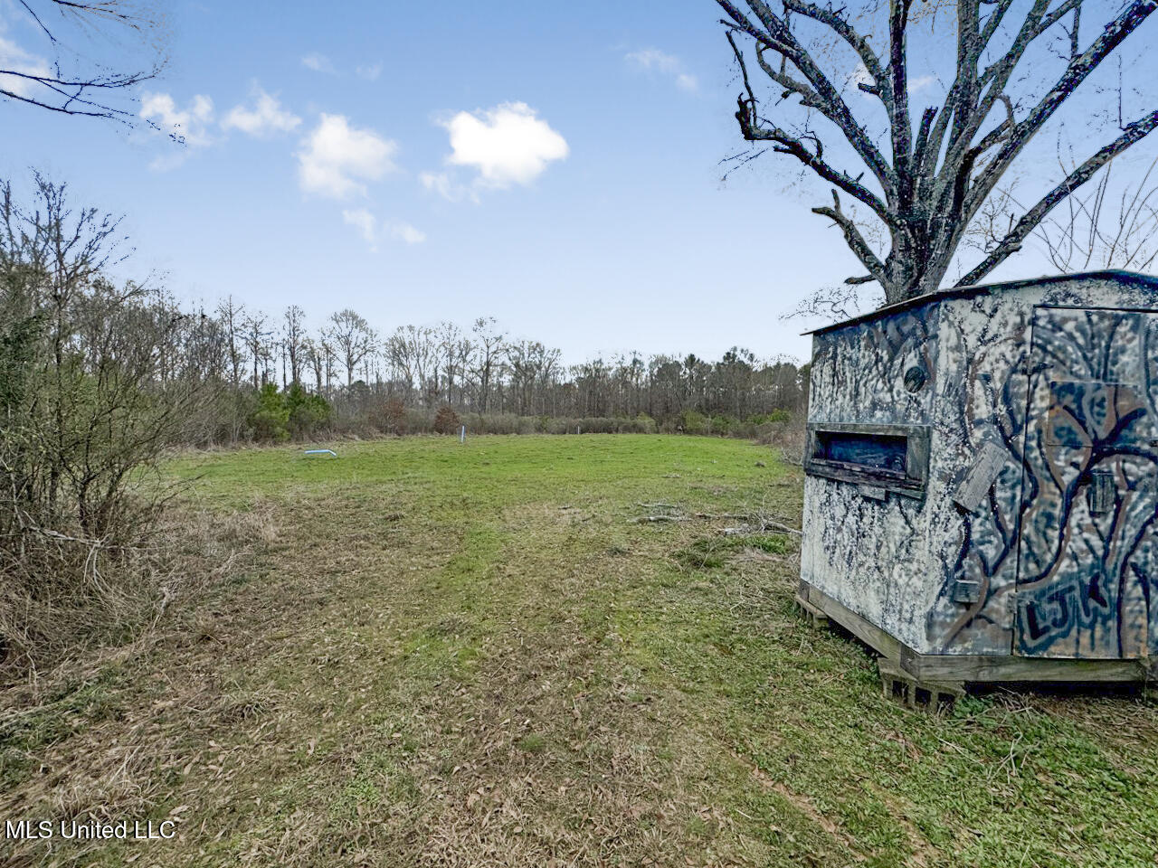 3771 Northeast Timberline Road Wesson, MS 39191 - Photo 35 of 49 IMG_4213 Large
