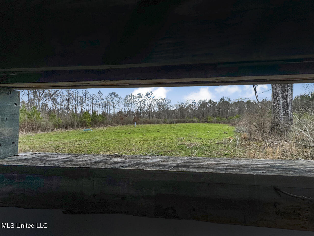 3771 Northeast Timberline Road Wesson, MS 39191 - Photo 36 of 49 IMG_4214 Large