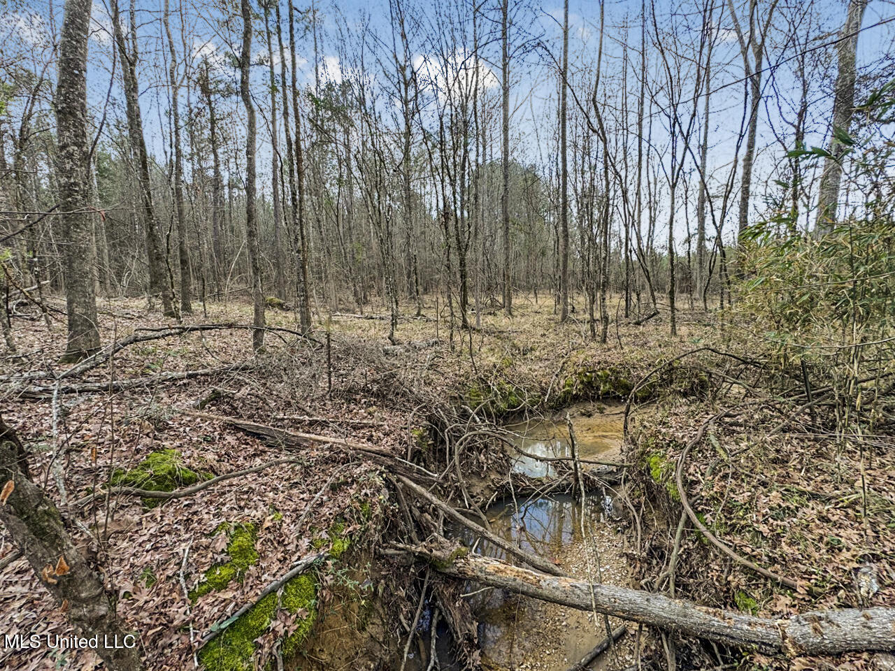 3771 Northeast Timberline Road Wesson, MS 39191 - Photo 37 of 49 IMG_4216 Large