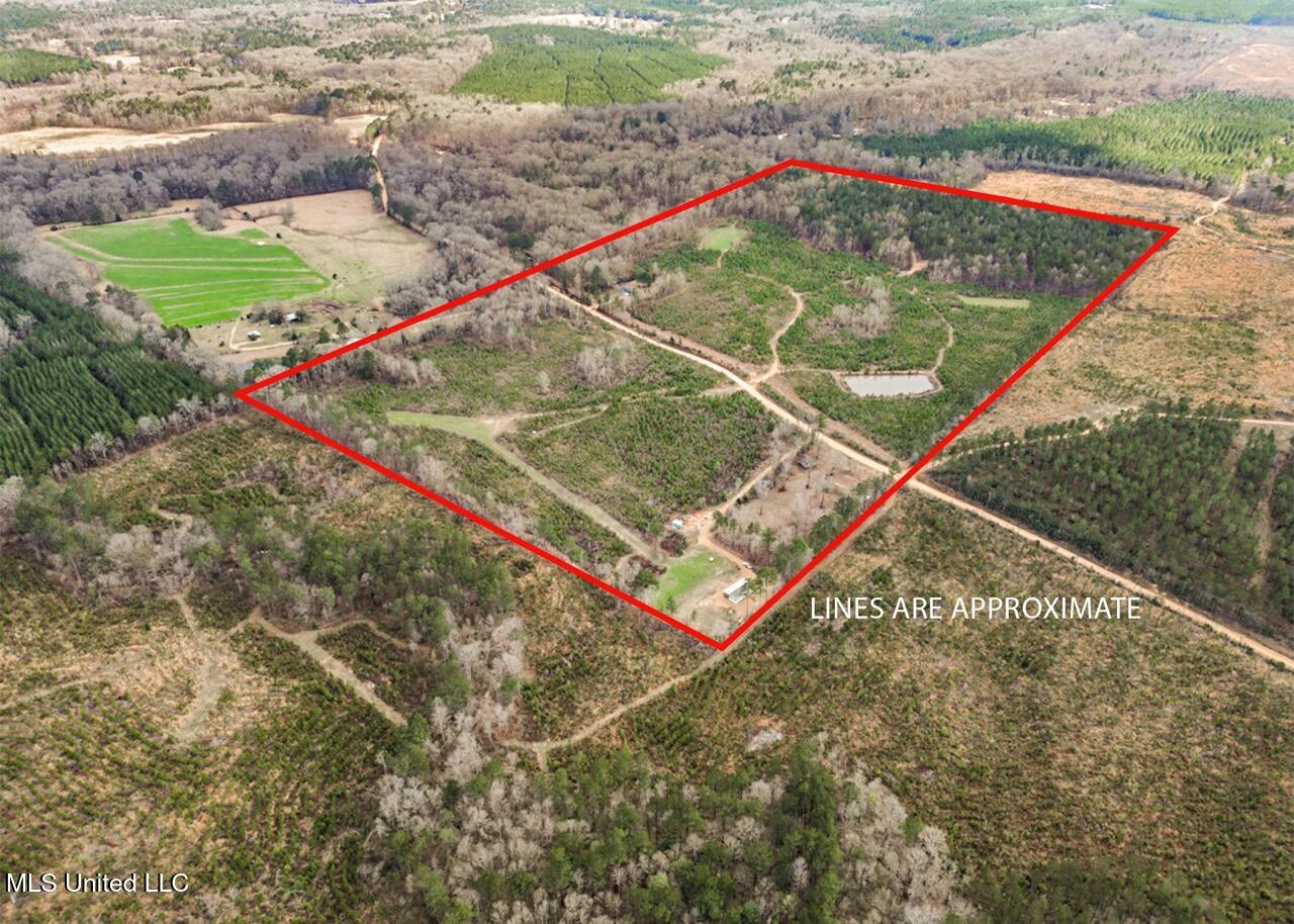 3771 Northeast Timberline Road Wesson, MS 39191 - Photo 39 of 49 80 a1 Large