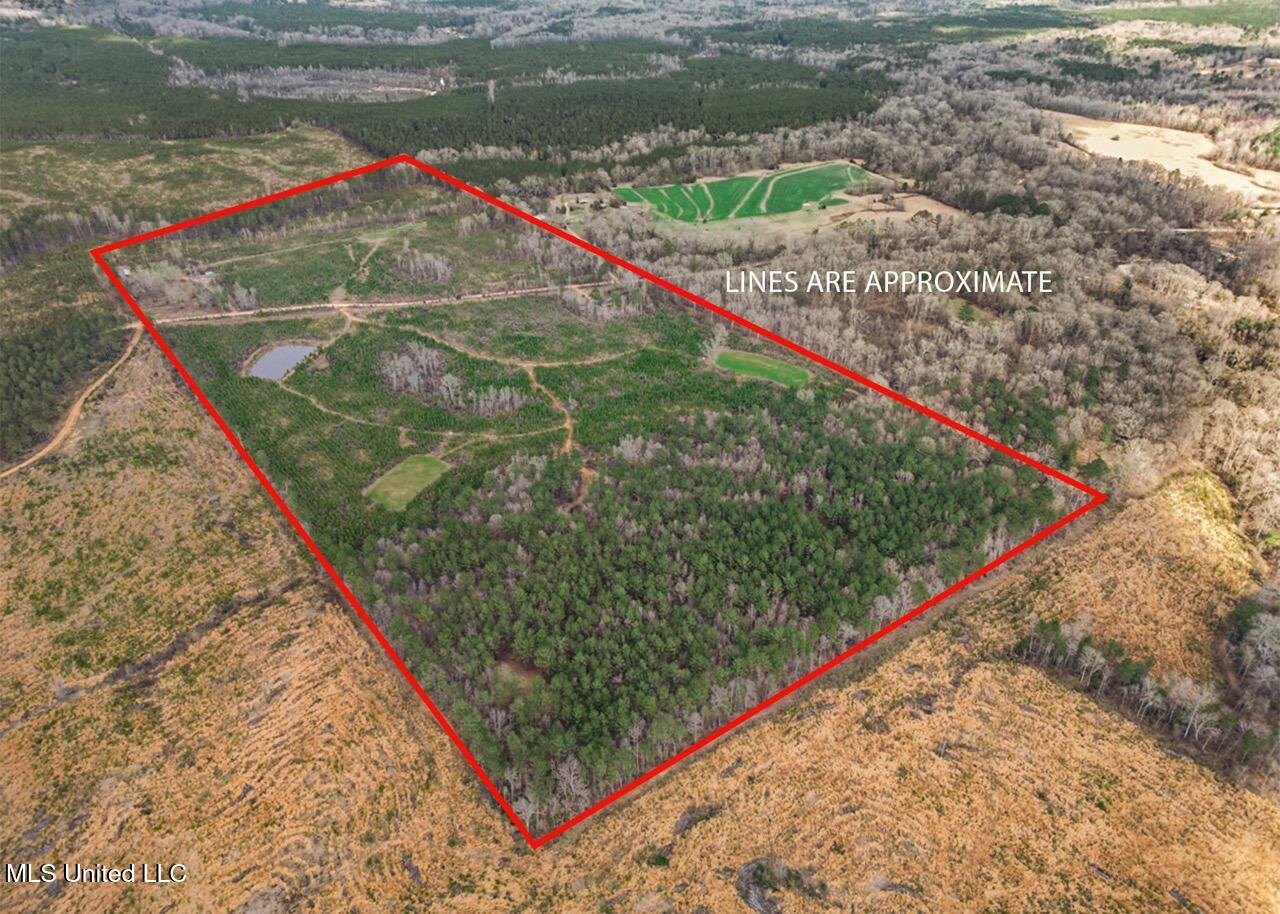3771 Northeast Timberline Road Wesson, MS 39191 - Photo 40 of 49 80 a2 Large