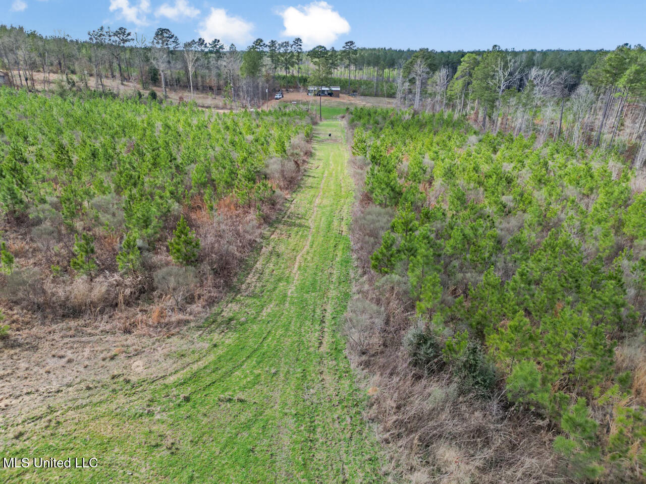 3771 Northeast Timberline Road Wesson, MS 39191 - Photo 4 of 49 DJI_0899 Large