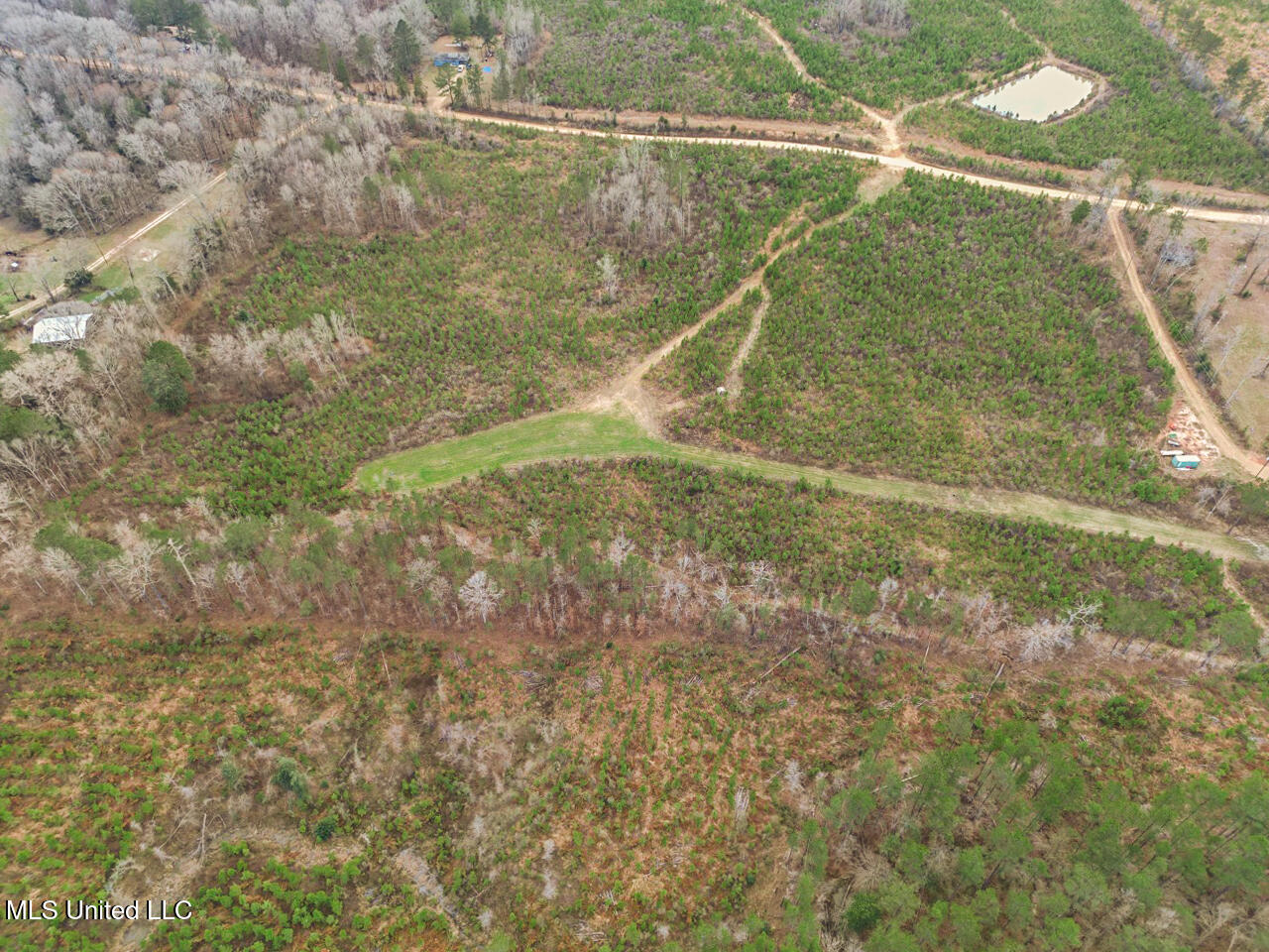 3771 Northeast Timberline Road Wesson, MS 39191 - Photo 42 of 49 DJI_0887 Large
