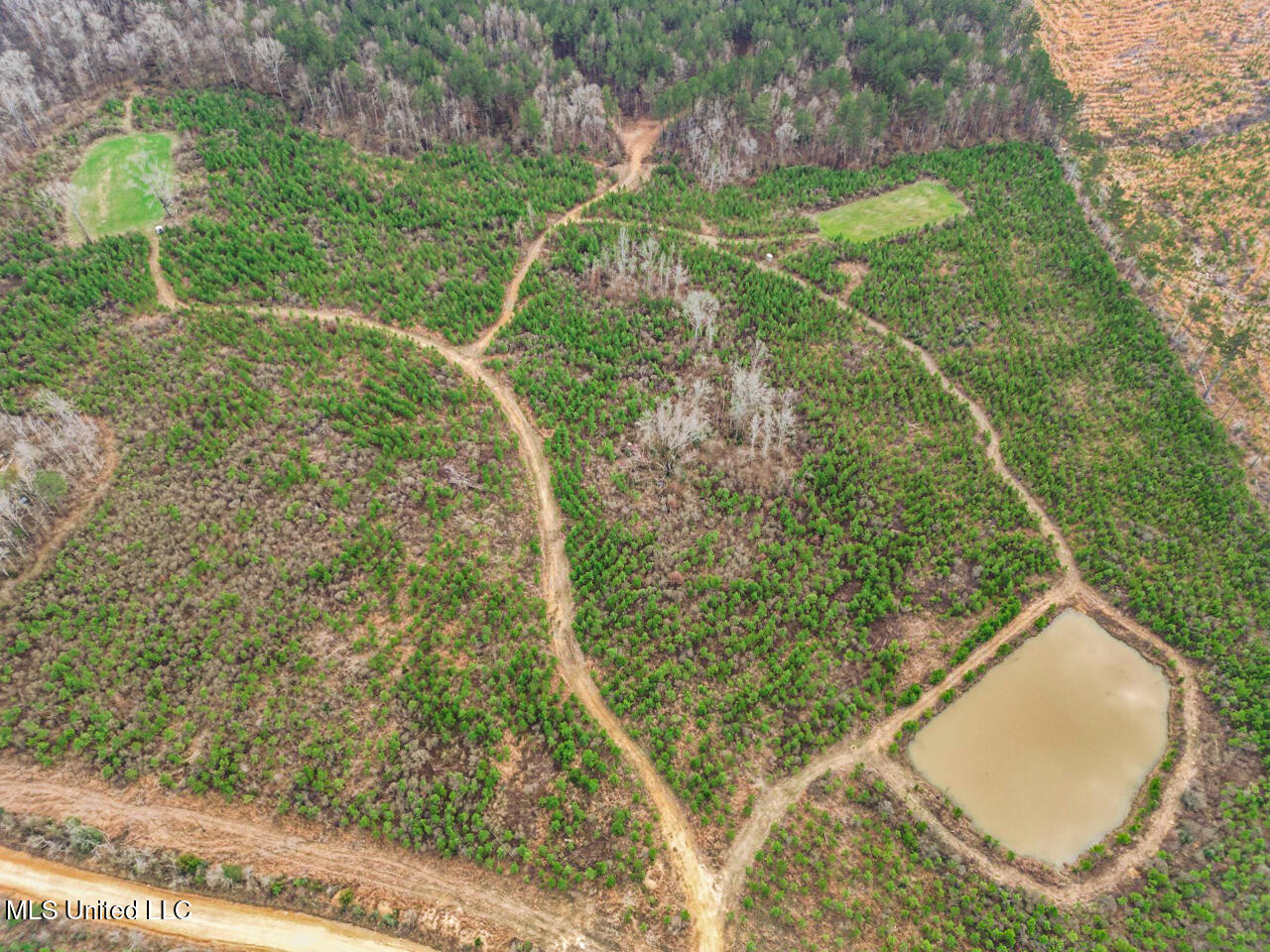 3771 Northeast Timberline Road Wesson, MS 39191 - Photo 43 of 49 DJI_0888 Large
