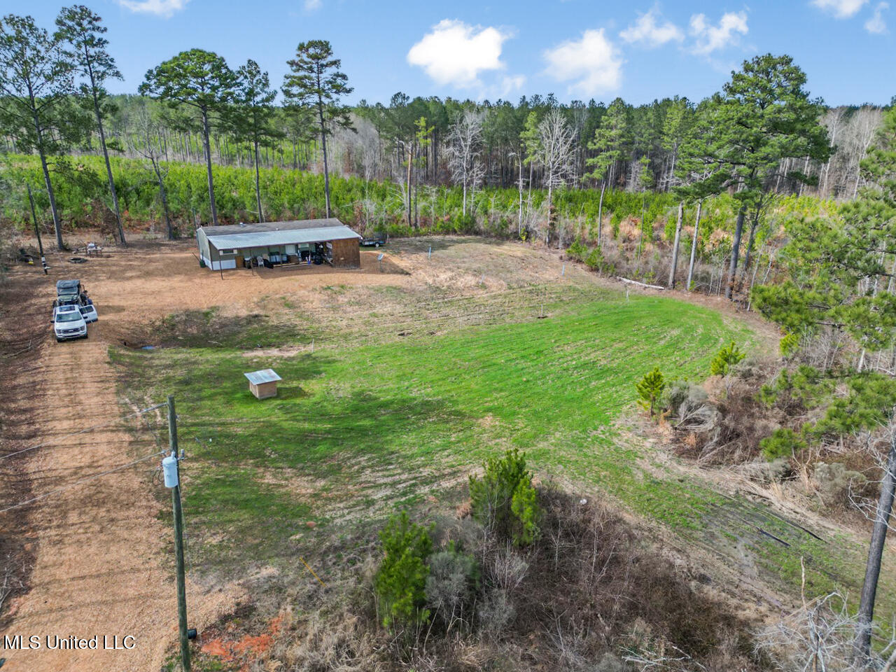 3771 Northeast Timberline Road Wesson, MS 39191 - Photo 5 of 49 DJI_0901 Large