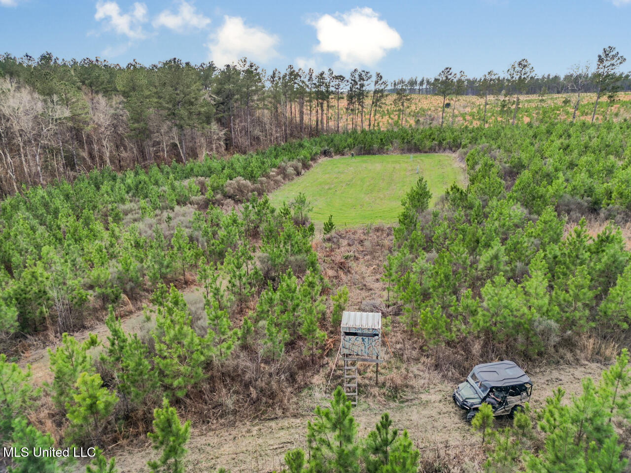 3771 Northeast Timberline Road Wesson, MS 39191 - Photo 6 of 49 DJI_0904 Large
