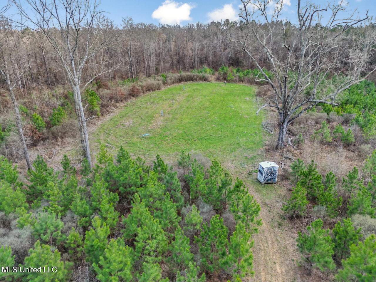 3771 Northeast Timberline Road Wesson, MS 39191 - Photo 7 of 49 DJI_0906 Large