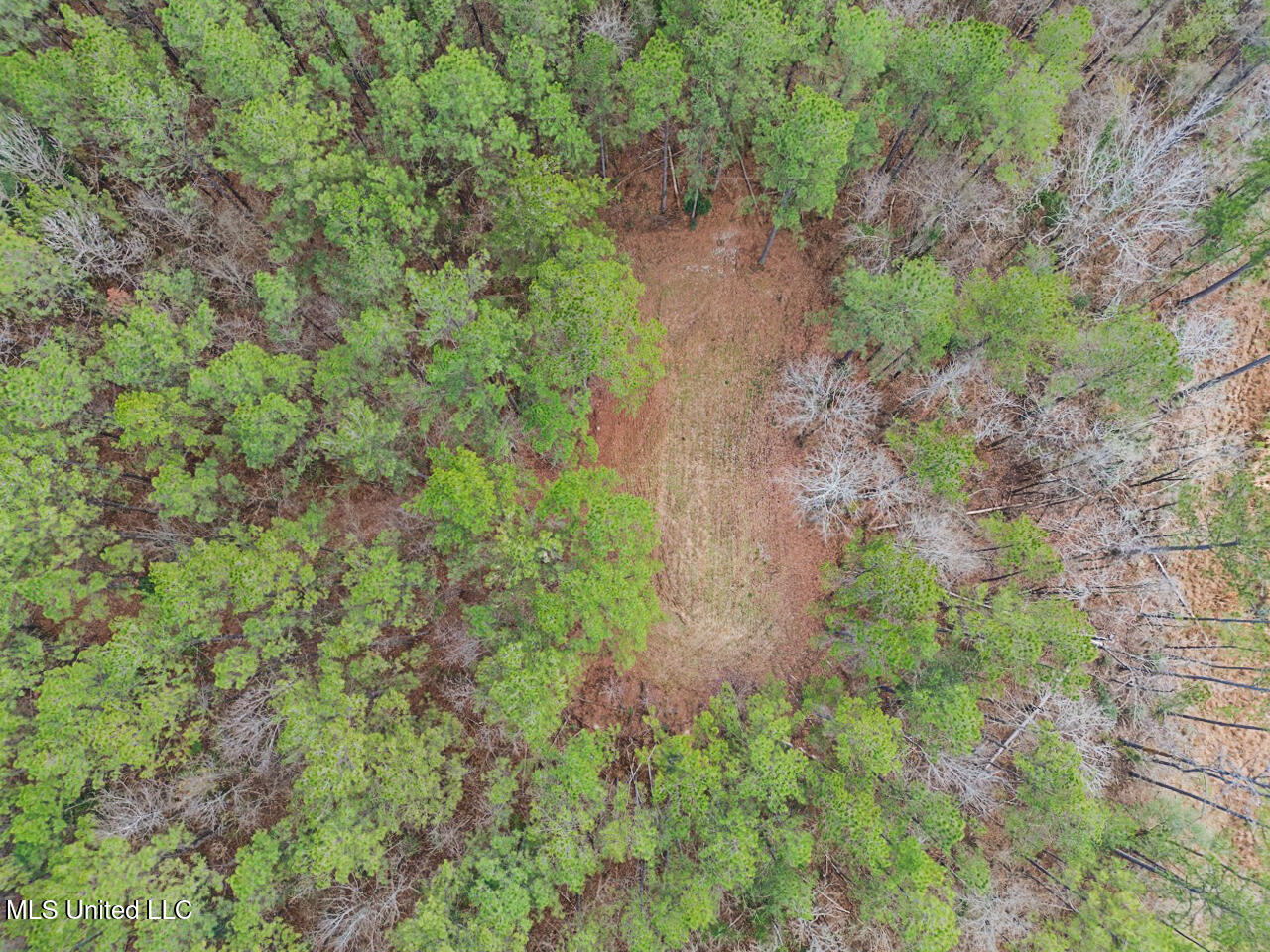 3771 Northeast Timberline Road Wesson, MS 39191 - Photo 8 of 49 DJI_0909 Large