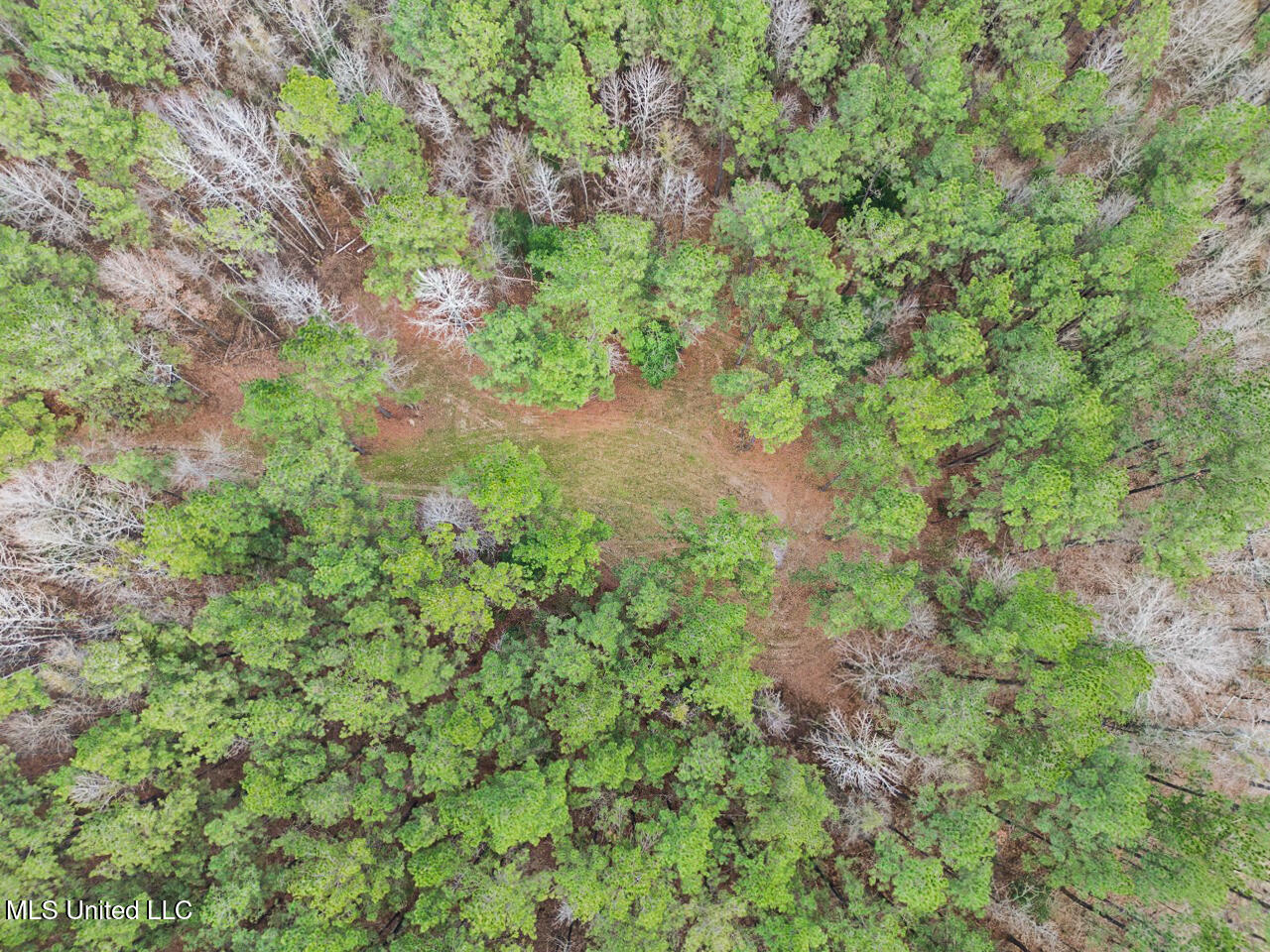 3771 Northeast Timberline Road Wesson, MS 39191 - Photo 9 of 49 DJI_0910 Large