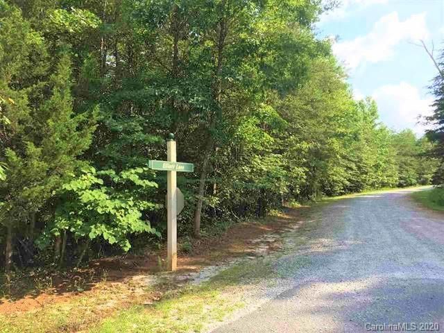 Lot#50 Elliott Lane Rutherfordton, NC 28139 - Photo 3 of 22 Gallery Image 3