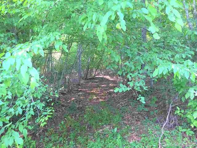 Lot#50 Elliott Lane Rutherfordton, NC 28139 - Photo 4 of 22 Gallery Image 4