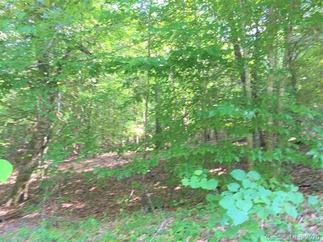 Lot#50 Elliott Lane Rutherfordton, NC 28139 - Photo 5 of 22 Gallery Image 5