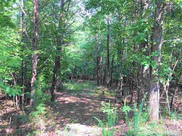Lot#50 Elliott Lane Rutherfordton, NC 28139 - Photo 6 of 22 Gallery Image 6