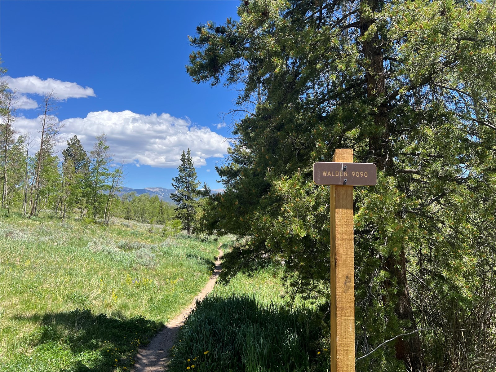 95600 Ryan Gulch Road, Unit 95613 Wildernest, CO 80498 - Photo 35 of 37