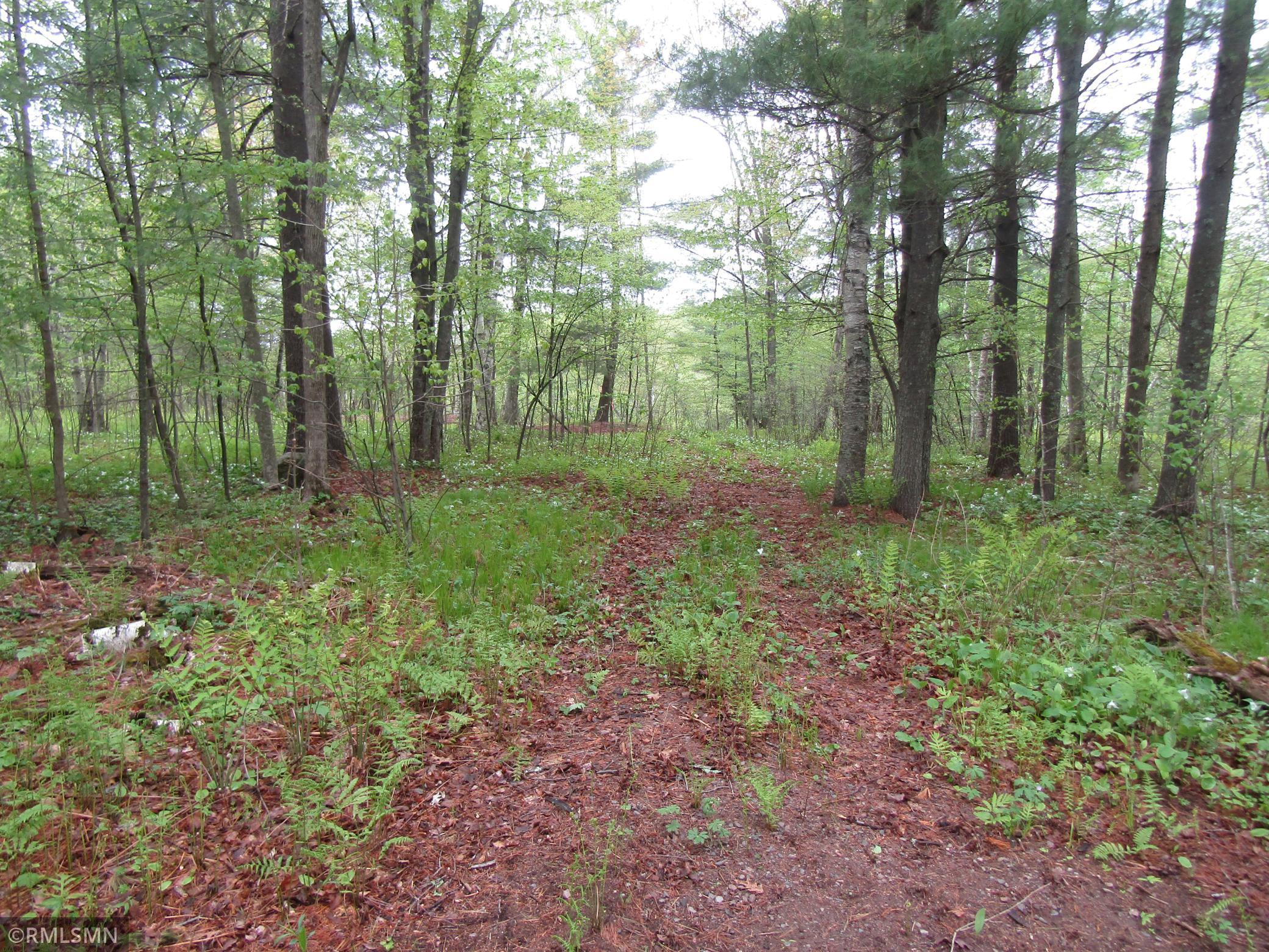15442 Lofty Pines Road Pine City, MN 55063 - Photo 2 of 9