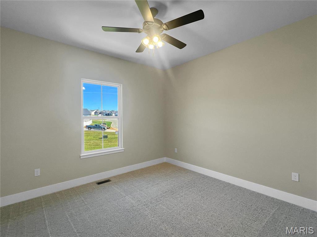 2912 Bluff Ridge Court Maryville, IL 62062 - Photo 17 of 24