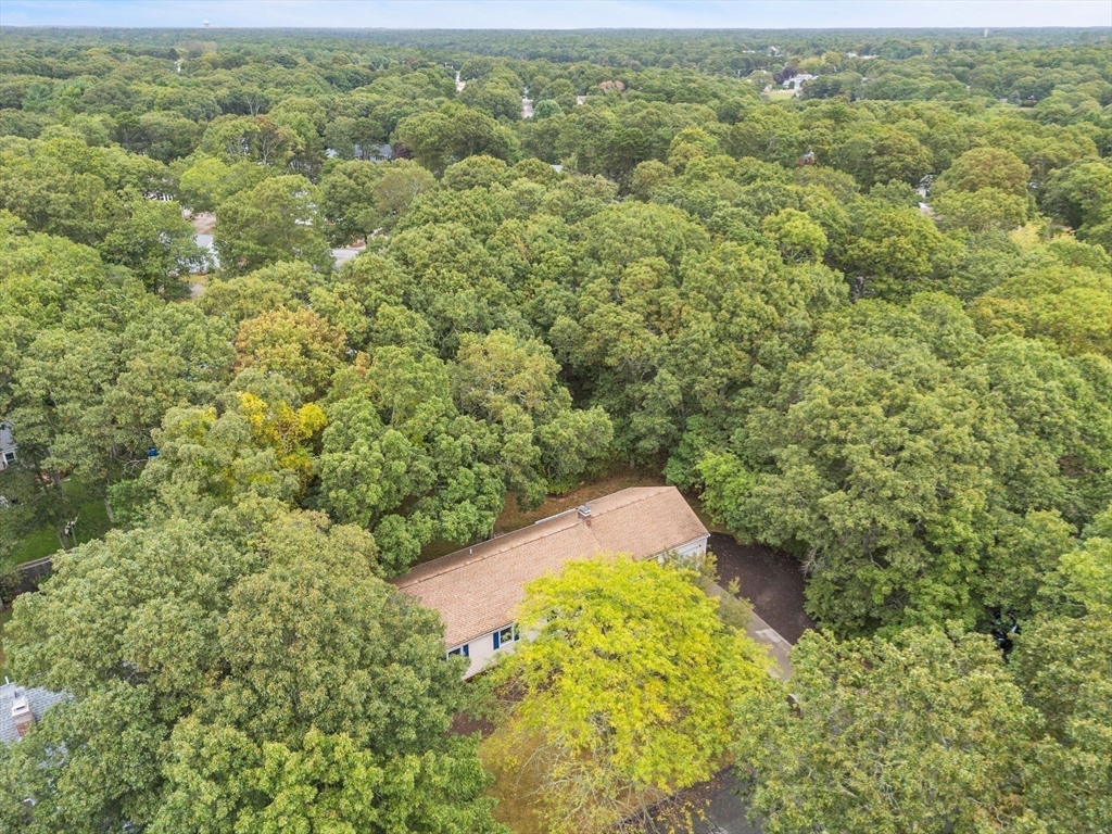 17 Tarpon Road Falmouth, MA 02536 - Photo 36 of 42 Gallery Image 36