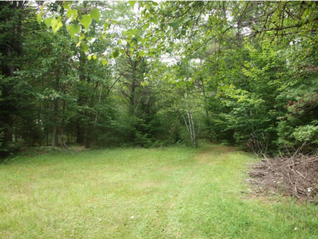 0 Schoff Road Lyman, NH 03585 - Photo 1 of 13