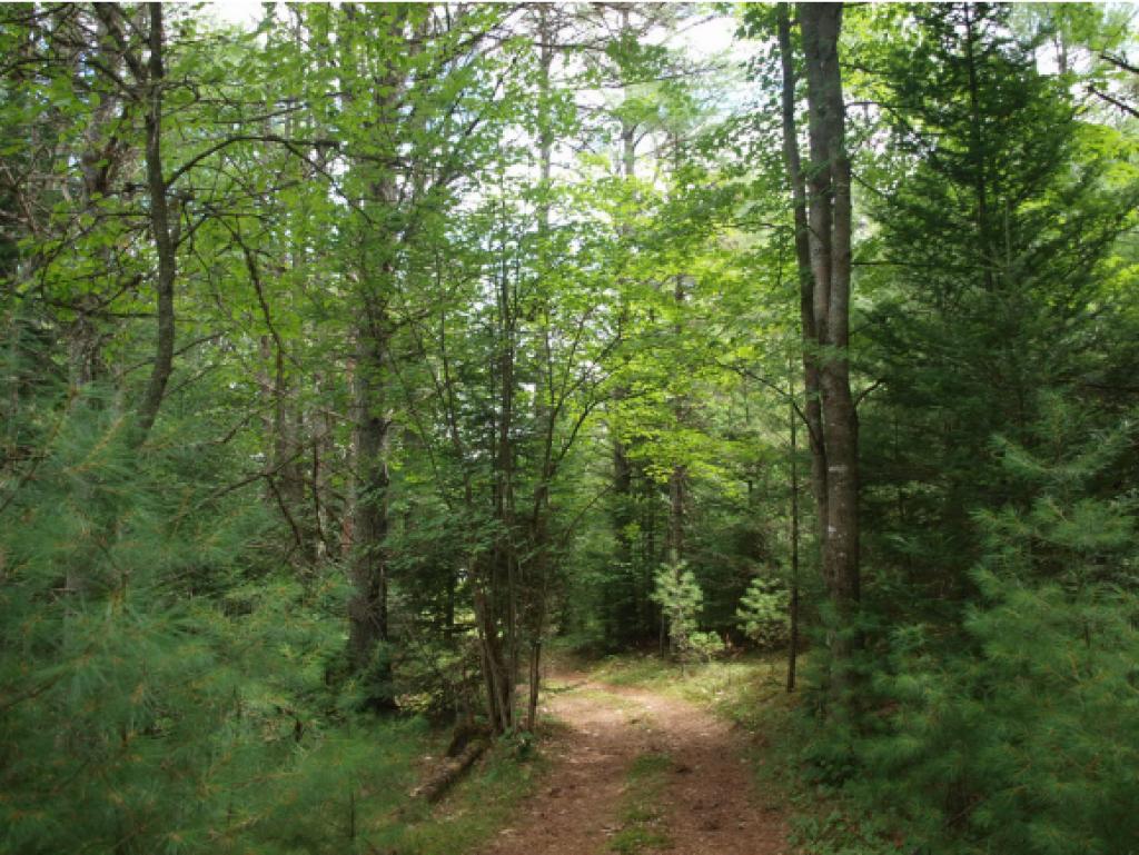 0 Schoff Road Lyman, NH 03585 - Photo 5 of 13