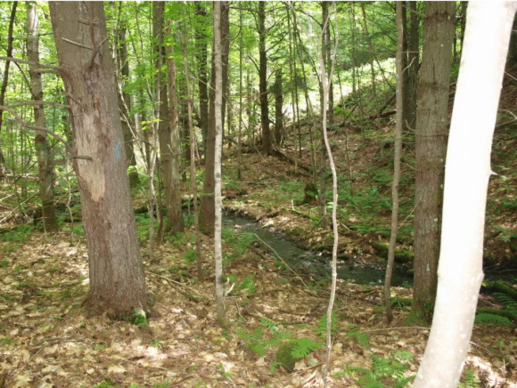 0 Schoff Road Lyman, NH 03585 - Photo 6 of 13