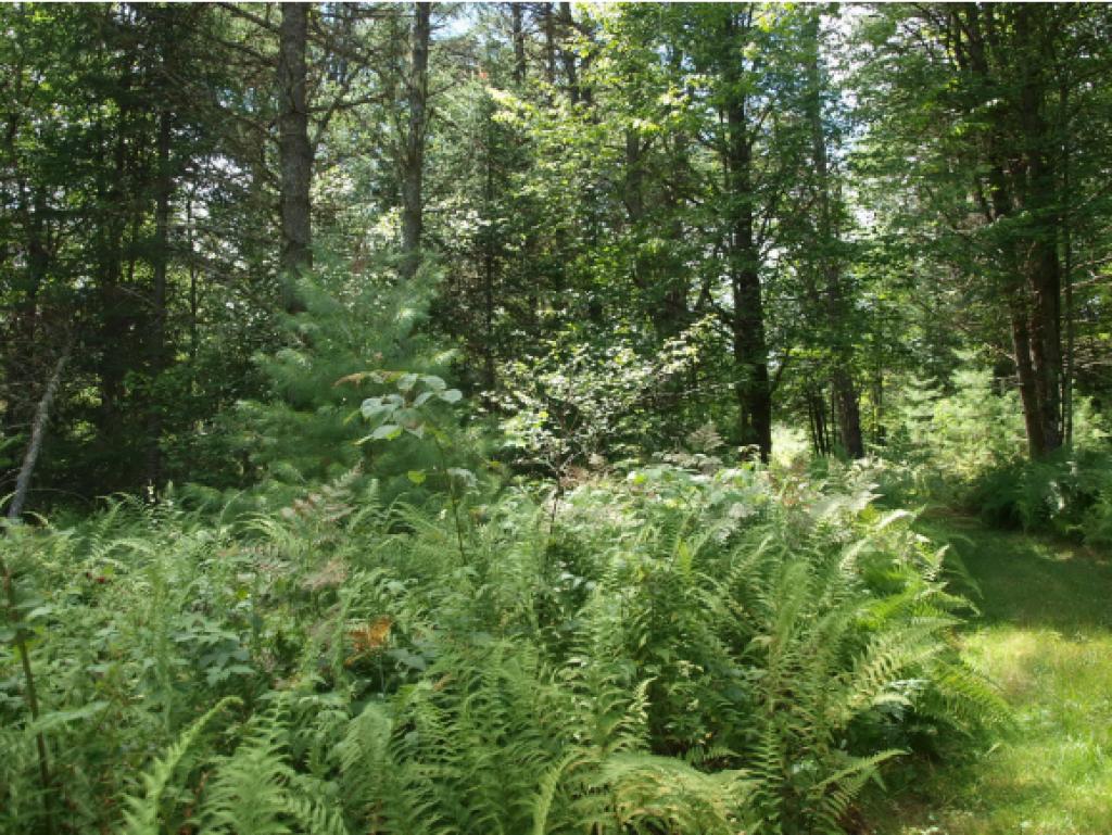 0 Schoff Road Lyman, NH 03585 - Photo 8 of 13