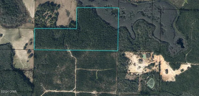 $135,000 | Tbd Douglas Ferry Road, Caryville, FL 32427