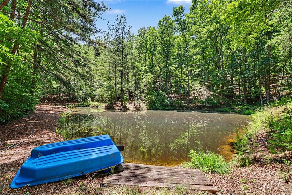 200 Sutallee Ridge Lane White, GA 30184 - Photo 20 of 62