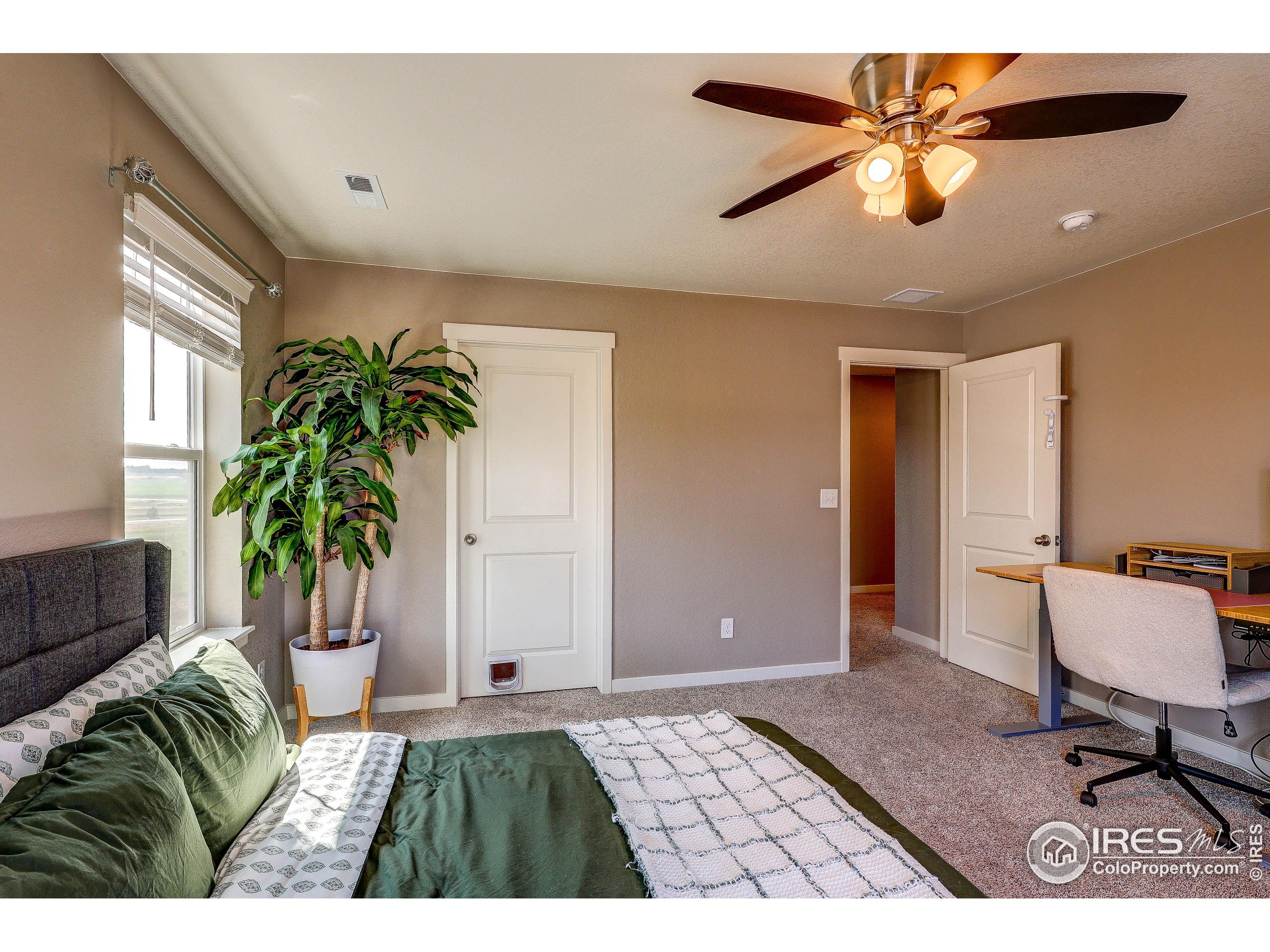 1335 Copeland Falls Road Severance, CO 80550 - Photo 21 of 40 a living room with furniture and a potted plant