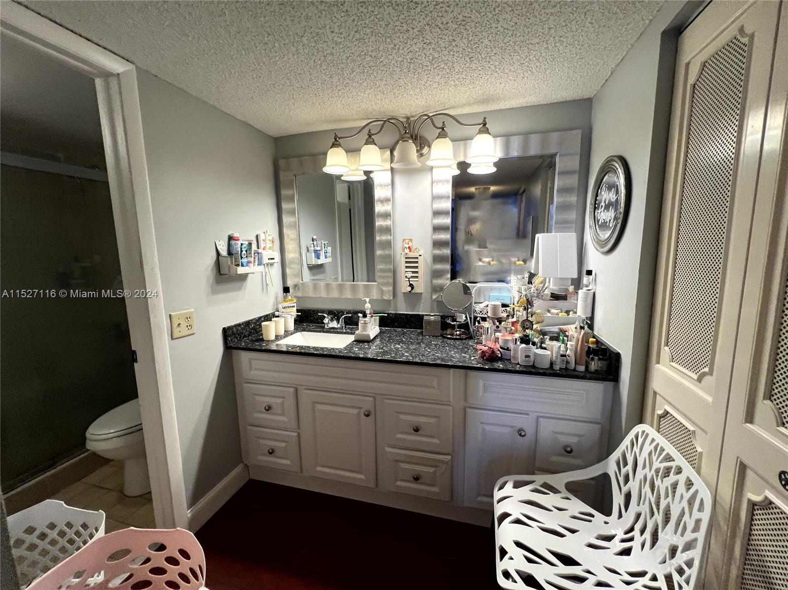 1665 Bay Road, Unit 425 Miami Beach, FL 33139 - Photo 19 of 29 a bathroom with a sink a mirror and a toilet