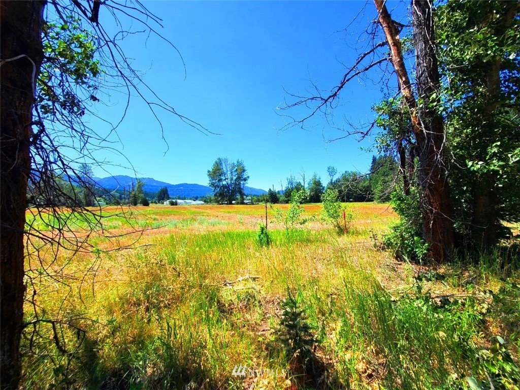 0 Secret Valley Road Cle Elum, WA 98922 - Photo 3 of 11 Gallery Image 3