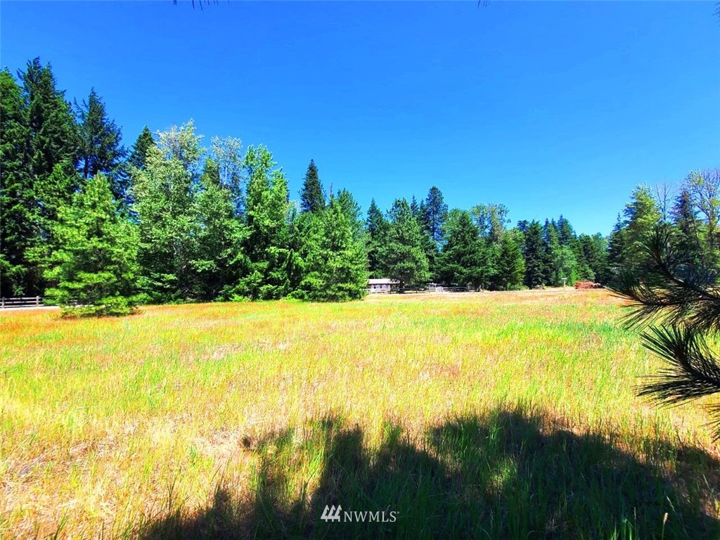 0 Secret Valley Road Cle Elum, WA 98922 - Photo 4 of 11 Gallery Image 4