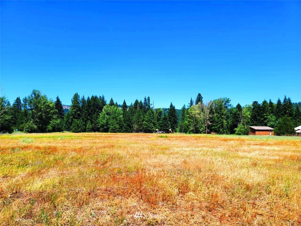 0 Secret Valley Road Cle Elum, WA 98922 - Photo 7 of 11 Gallery Image 7