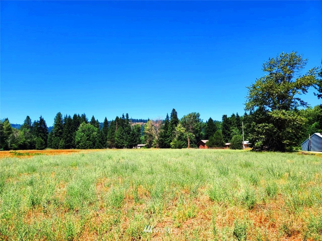 0 Secret Valley Road Cle Elum, WA 98922 - Photo 8 of 11 Gallery Image 8