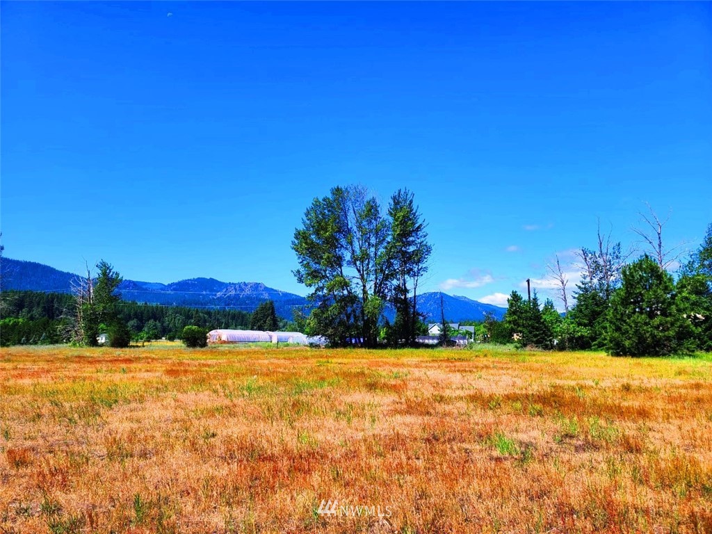 0 Secret Valley Road Cle Elum, WA 98922 - Photo 9 of 11 Gallery Image 9