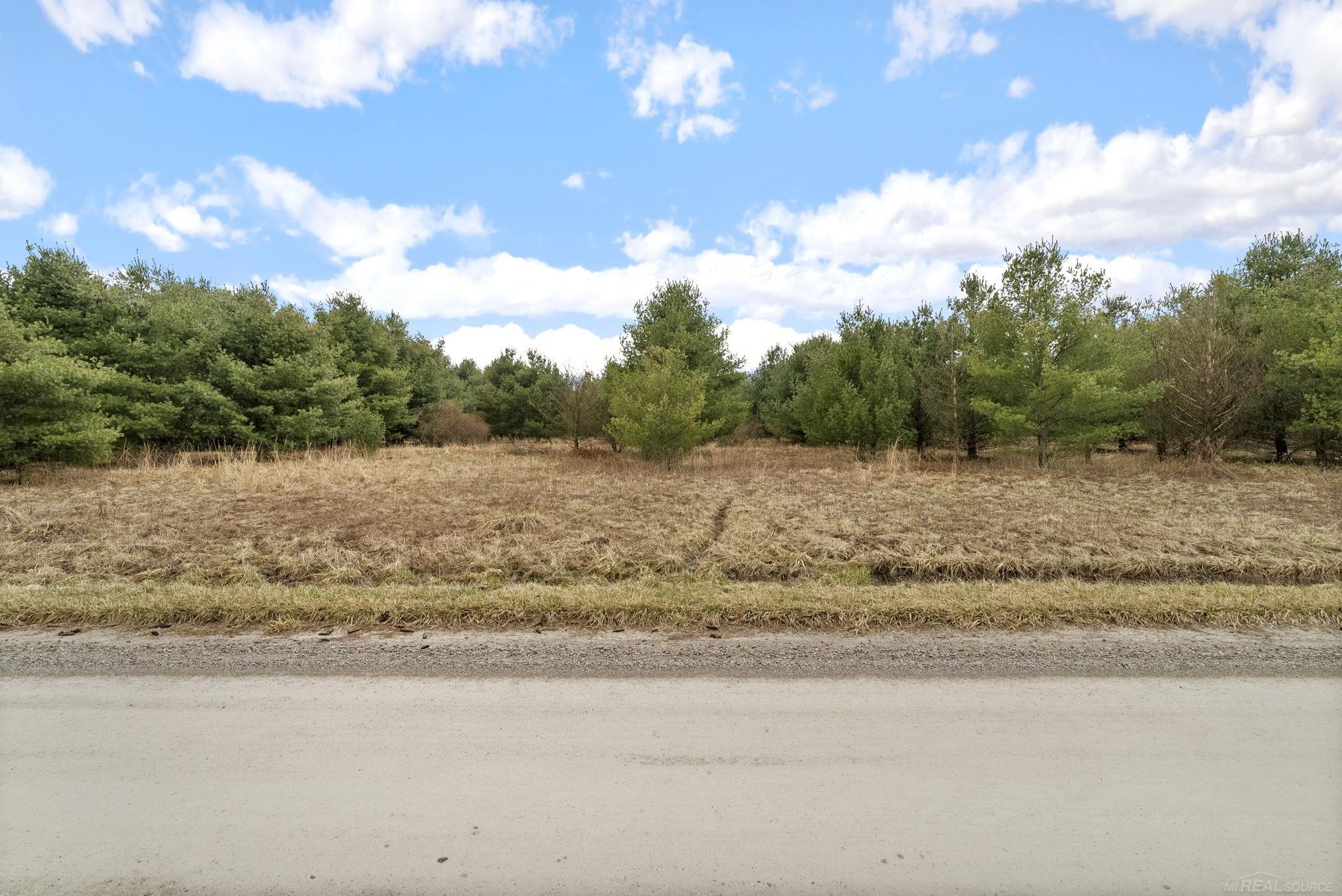 0 Aitken Road Peck, MI 48466 - Photo 11 of 11