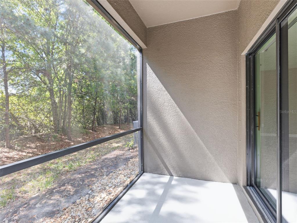 17337 Old Tobacco Road Lutz, FL 33558 - Photo 36 of 40