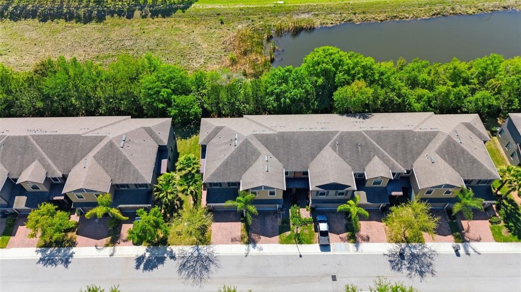 17337 Old Tobacco Road Lutz, FL 33558 - Photo 39 of 40