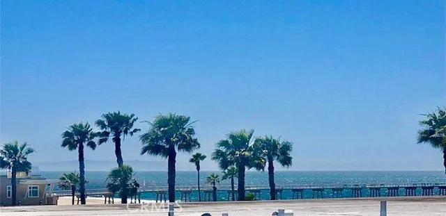 a view of beach and palm tree