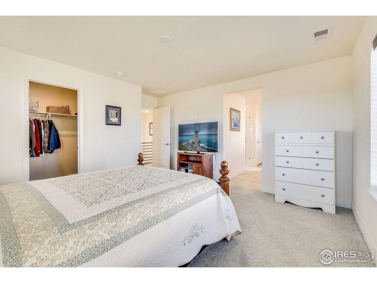 1102 Kitty Hawk Court Fort Collins, CO 80526 - Photo 21 of 37 Walk in closet and ample natural light