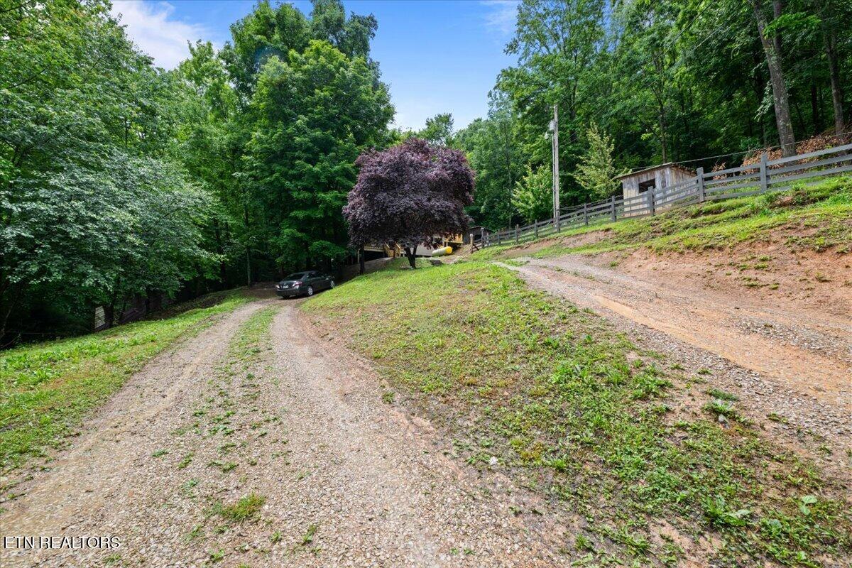 578 Fox Branch Road Clairfield, TN 37715 - Photo 32 of 38 35-578 Fox Branch Rd