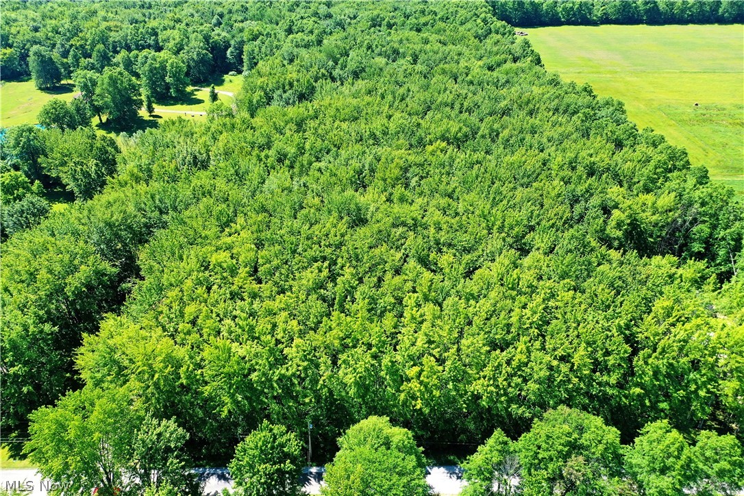 Airport Road Northwest Warren, OH 44481 - Photo 8 of 19