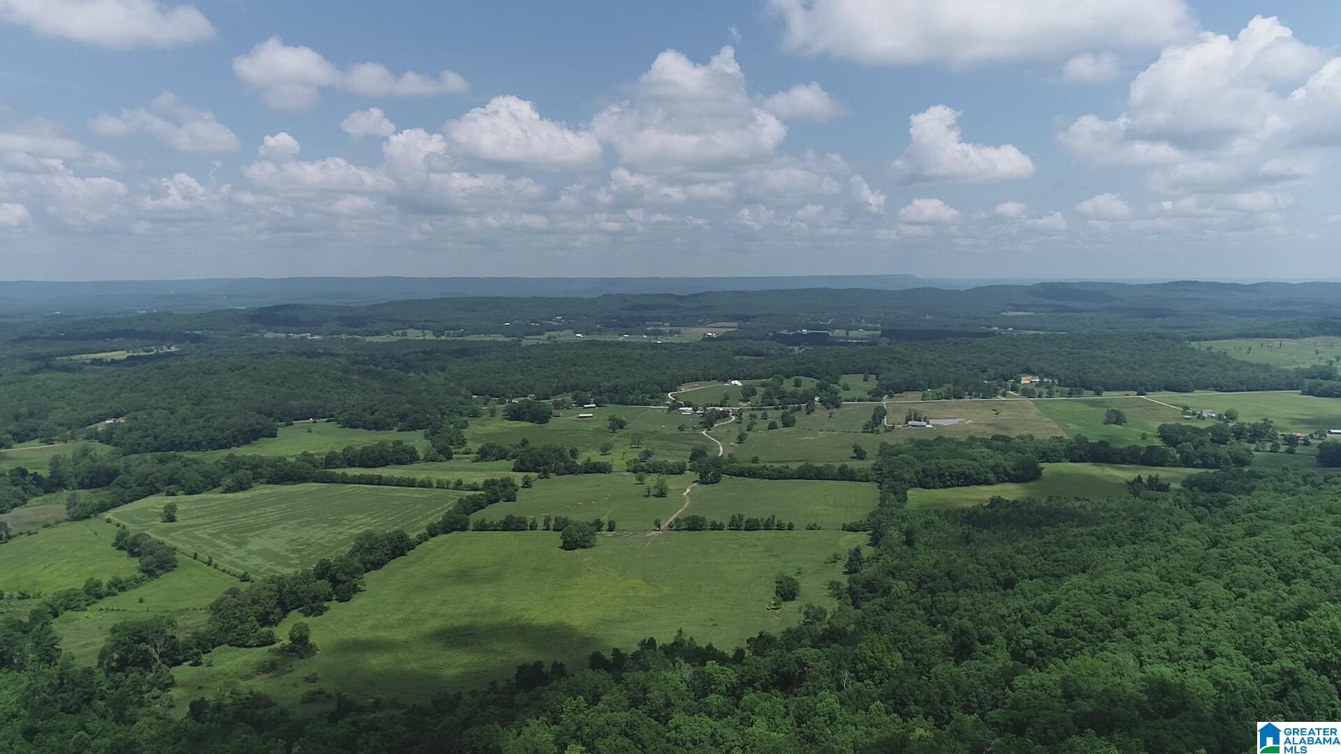 1955 Beaver Mountain Road, Unit TRACT 1 W/STUDIO HOME Ashville, AL 35953 - Photo 5 of 14