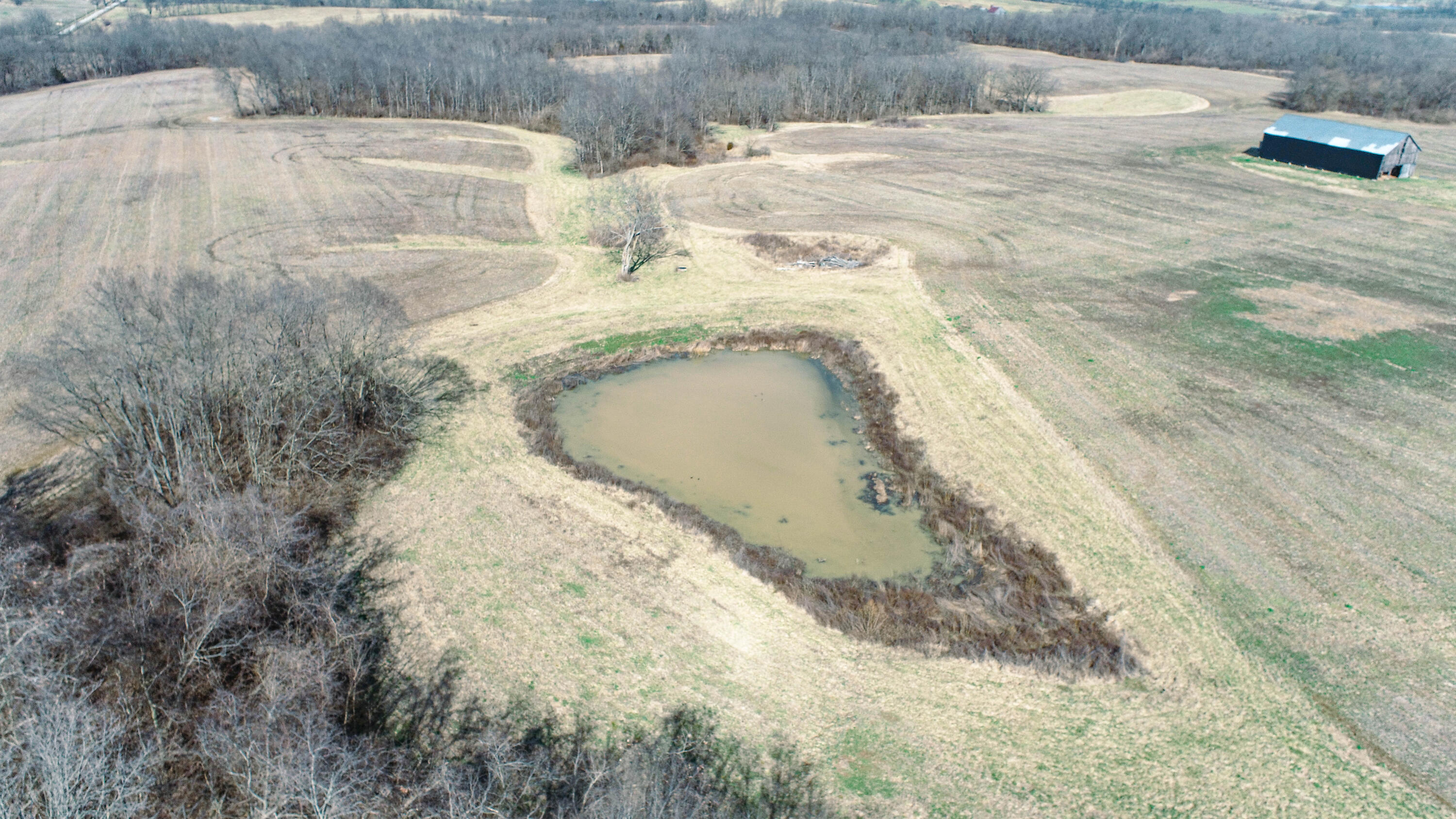 Tract B Redmon Road Paris, KY 40361 - Photo 6 of 13 DJI_0285