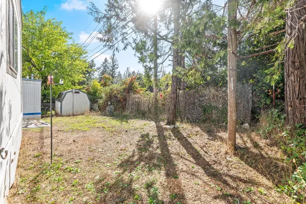 a backyard of a house with a trees