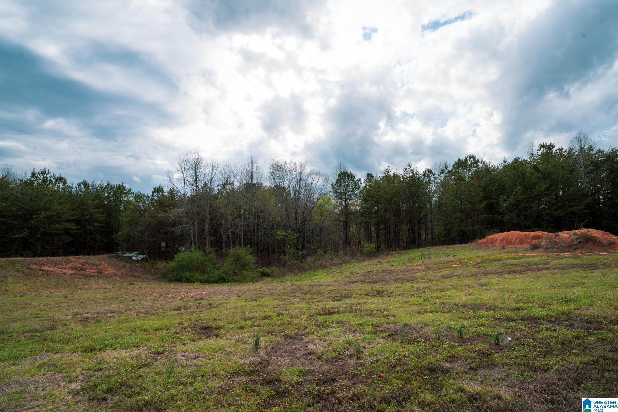 17571 Groundhog Road Adger, AL 35006 - Photo 10 of 94