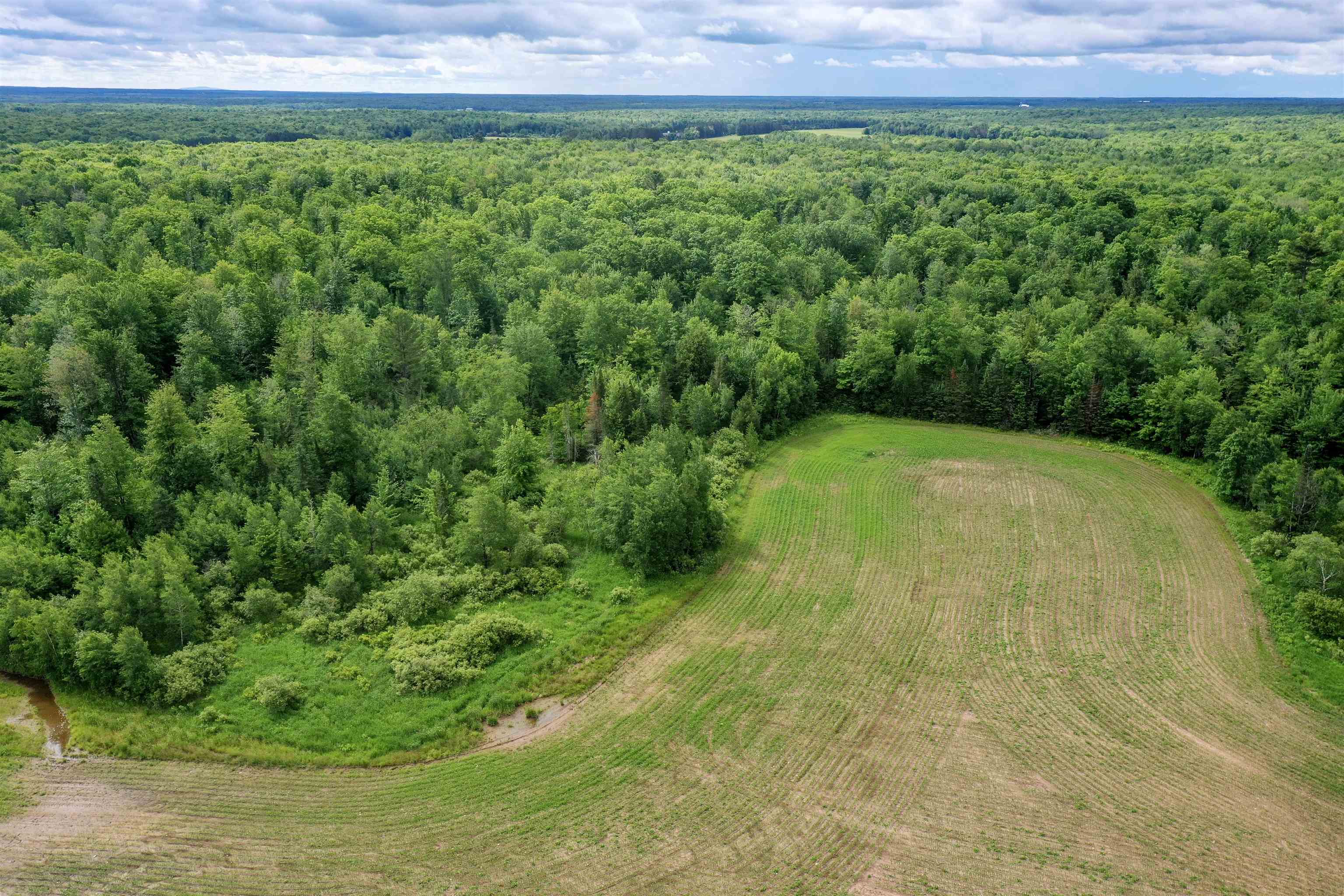 W2175 County Rd M Rib Lake, WI 54470 - Photo 28 of 31