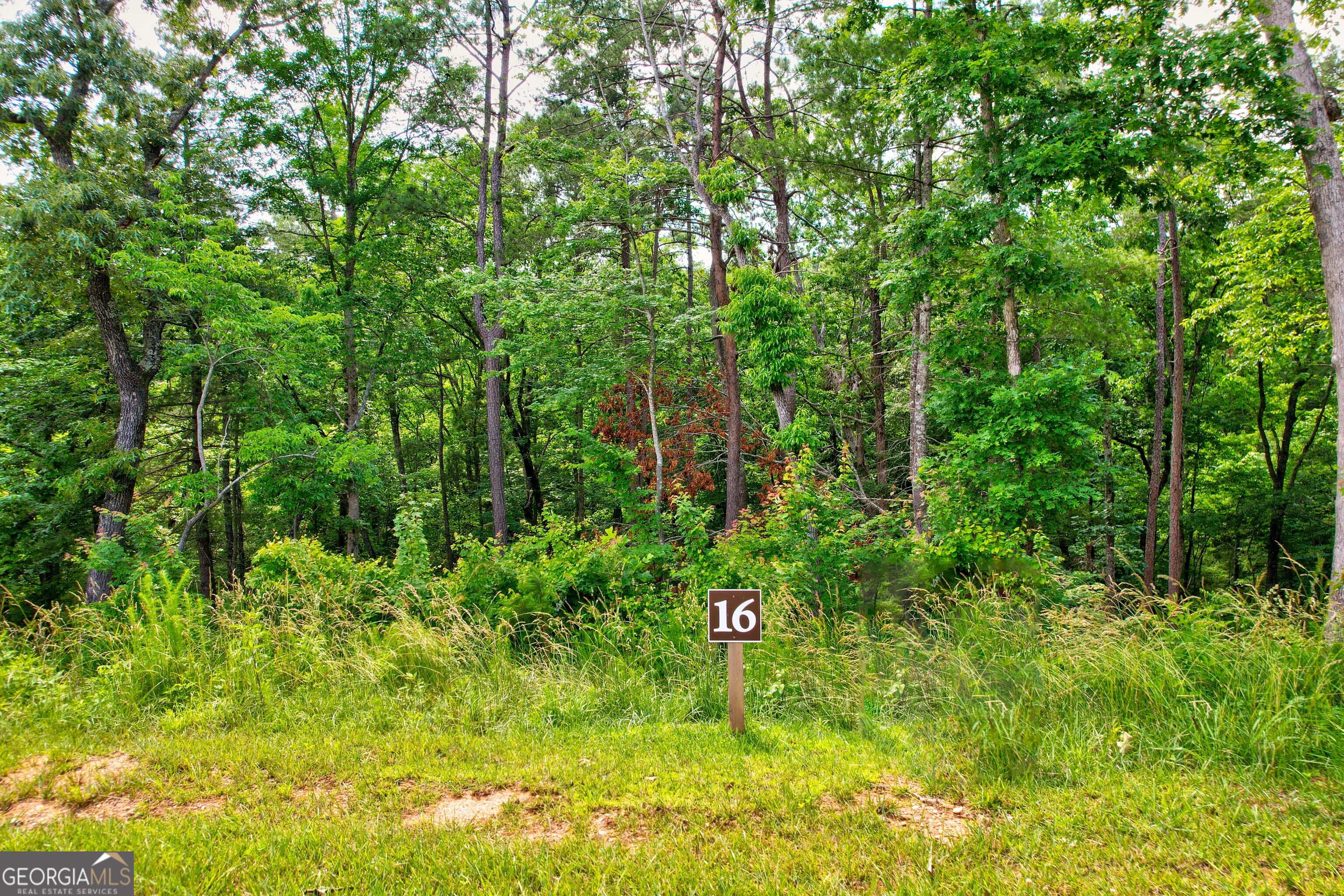 Lot 16 Lake Top Lane Ellijay, GA 30540 - Photo 4 of 17 a view of a garden