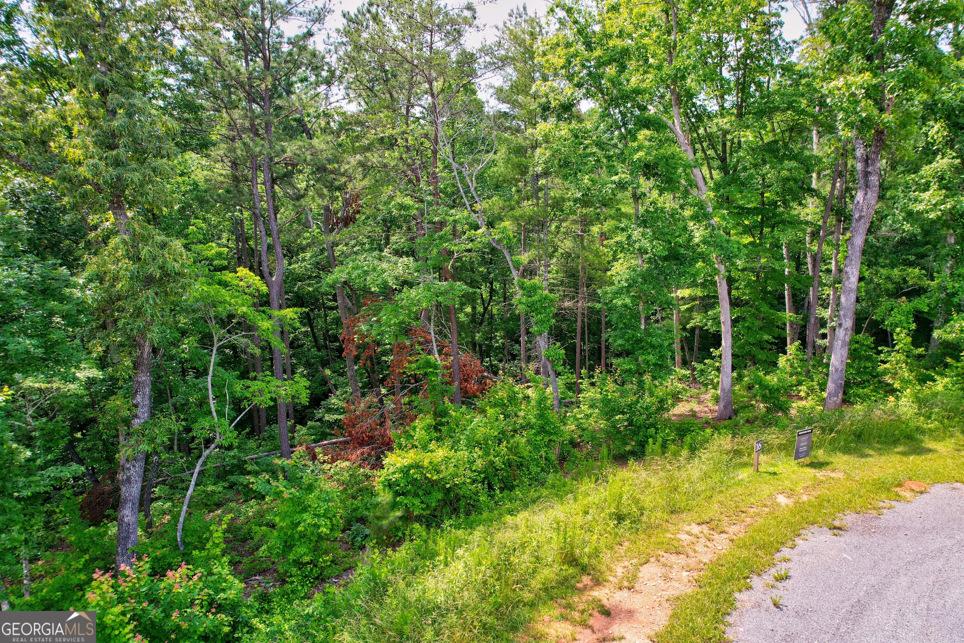 Lot 16 Lake Top Lane Ellijay, GA 30540 - Photo 8 of 17 a view of a yard with plants and large trees